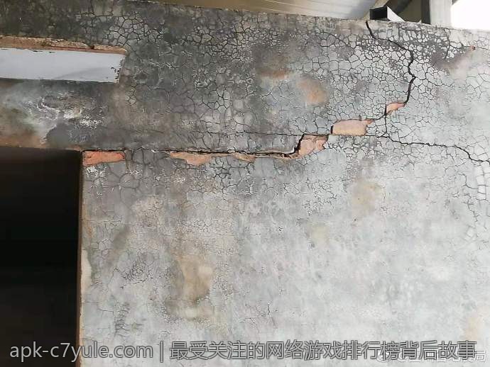 最受关注的网络游戏排行榜背后故事