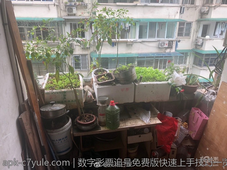 数字彩票追号免费版快速上手技巧一览